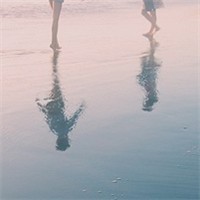 零星旅行的头像-幻仿编程