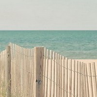 Mono的头像-幻仿编程