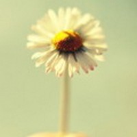 yufeiye的头像-幻仿编程