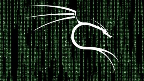 专业的道德黑客，使用Kali Linux v2025 | Professional Ethical Hacker with Kali Linux v2025-幻仿编程