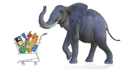 PHP入门指南：如何构建一个电子商务商店 | PHP for Beginners How to Build an Ecommerce Store-幻仿编程