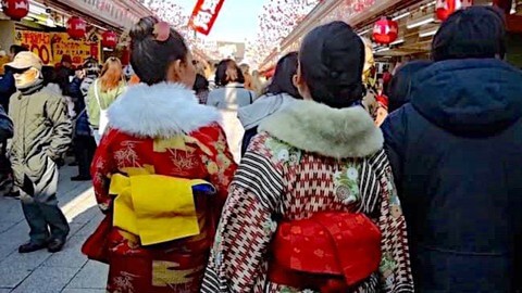 Udemy – 跟着夏子学日语入门 | Udemy – Learn Japanese For Beginners With Natsuko-幻仿编程