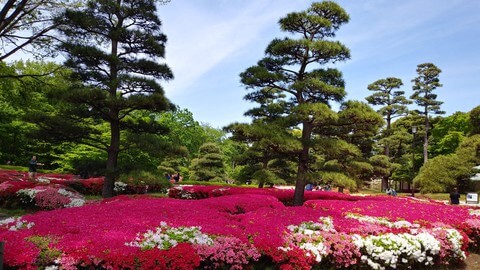 初学者！日语听力与阅读提升 | Beginners！ Japanese listening & reading improvement-幻仿编程