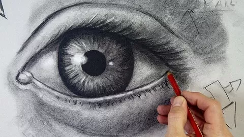 完整绘画大师班：从入门到精通 | The Complete Drawing Masterclass From Beginner to Advanced-幻仿编程