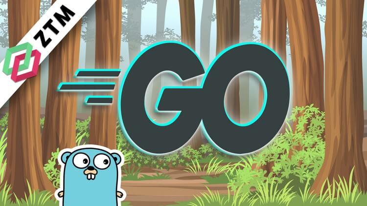 【Udemy课程】Go编程（Golang）开发者完全指南 | Go Programming (Golang) The Complete Developer’s Guide-幻仿编程