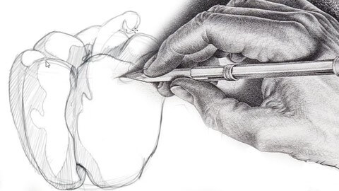 【Udemy课程】绘画基础全解——光影、铅笔及其他技法 | Fundamentals of Drawing Anything – Shading, pencils, more-幻仿编程